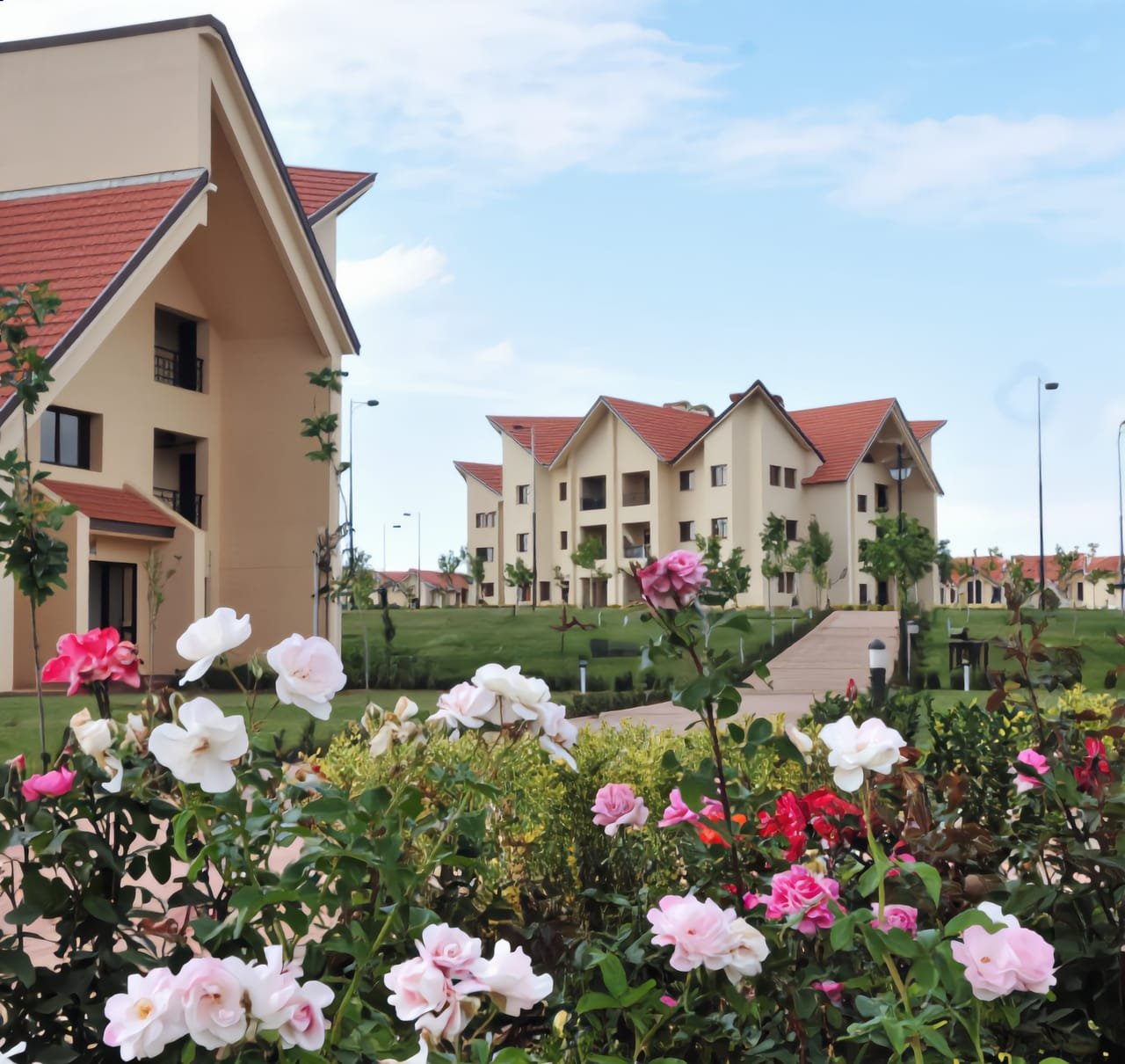 Nawrass holiday camp in Ifrane, Middle Atlas, Morocco — cedar-forest setting at 1,650 m altitude